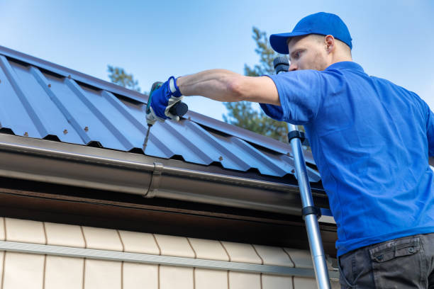 Best Roof Moss and Algae Removal  in Bethel, OH