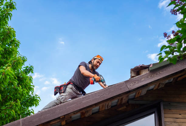 Best Storm Damage Roof Repair  in Bethel, OH